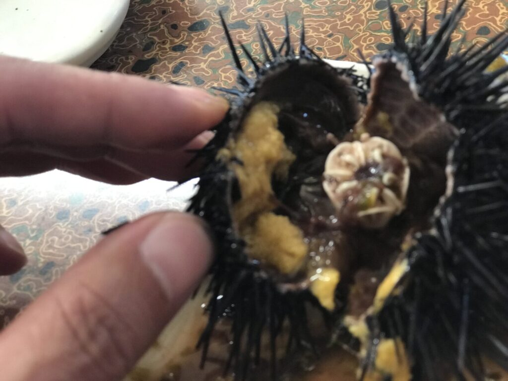 お皿の上に乗せられた丸ごとの生ウニ