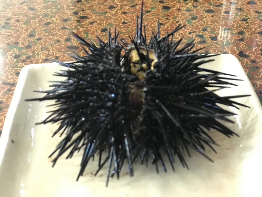 お皿の上に乗せられた丸ごとの生ウニ