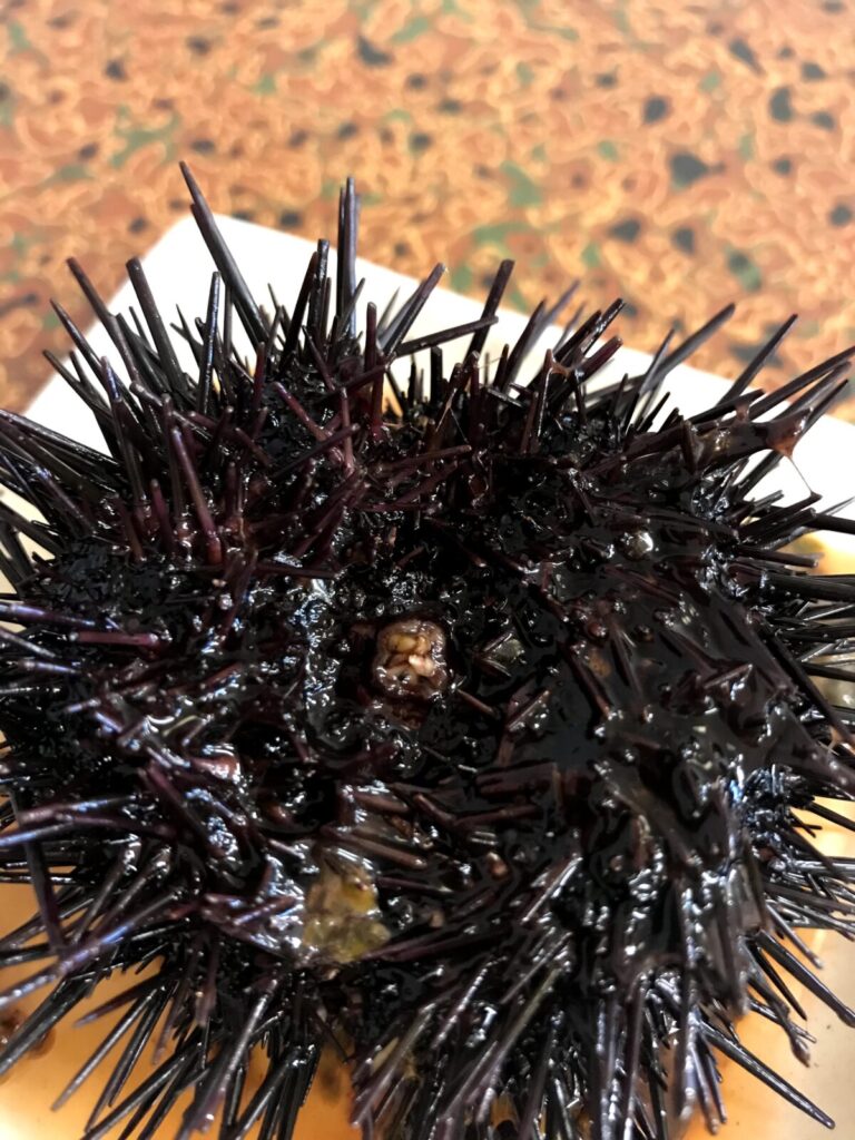 お皿の上に乗せられた丸ごとの生ウニ