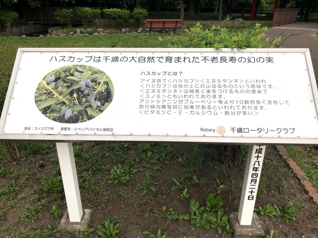 幻の果実ハスカップの説明板