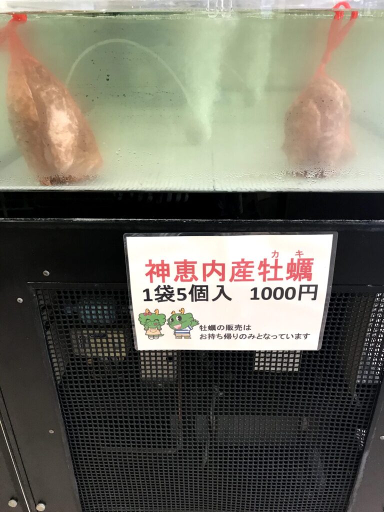 道の駅で販売されている神恵内産牡蠣の水槽、1袋5個入り1000円の案内とキャラクター表示