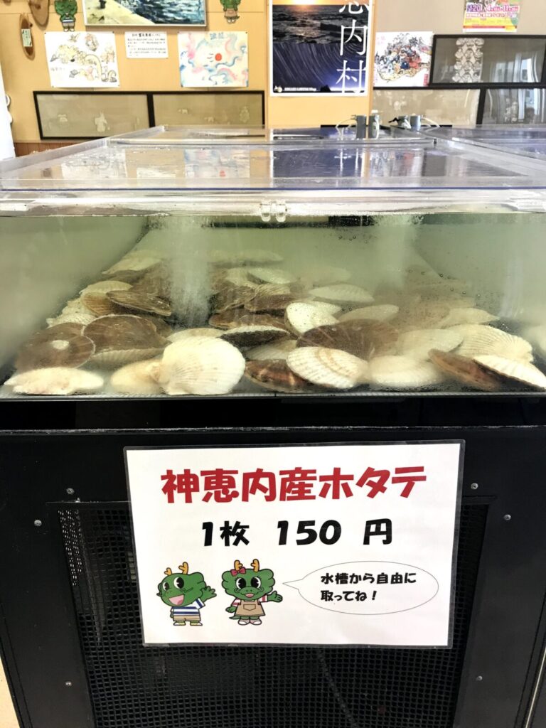 道の駅オスコイ!かもえないにある神恵内産ホタテの水槽販売、1枚150円の表示とキャラクター付き案内