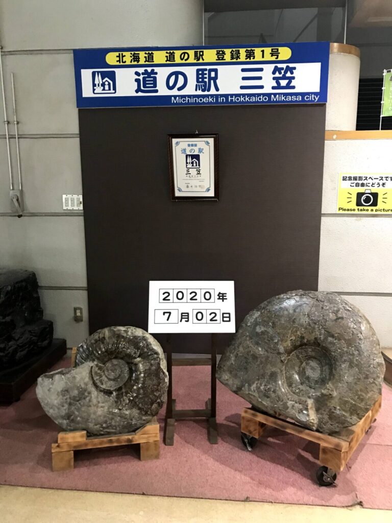 大きなアンモナイトの化石と記念撮影用スペース