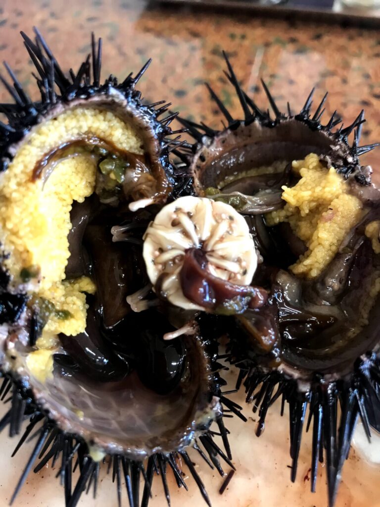 殻を割った生ウニの中身が見える様子