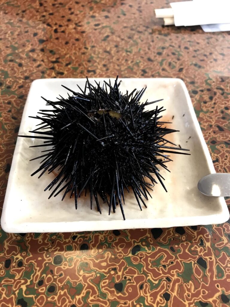 お皿の上に乗せられた丸ごとの生ウニ