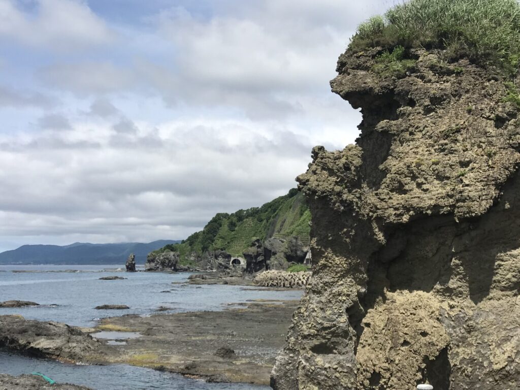 親熊のように見える岩とその向こうに続く海岸線