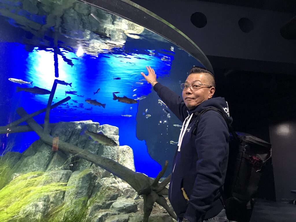 千歳水族館の中の施設の水槽