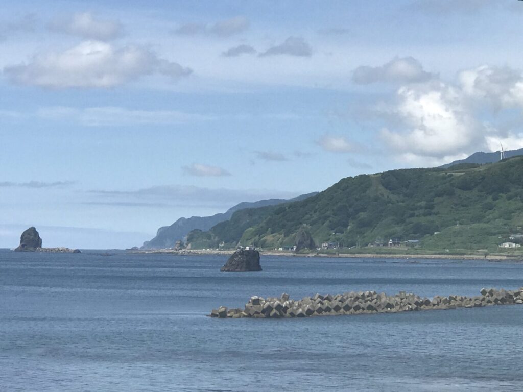 三本杉岩と奥に見える海岸線の風景