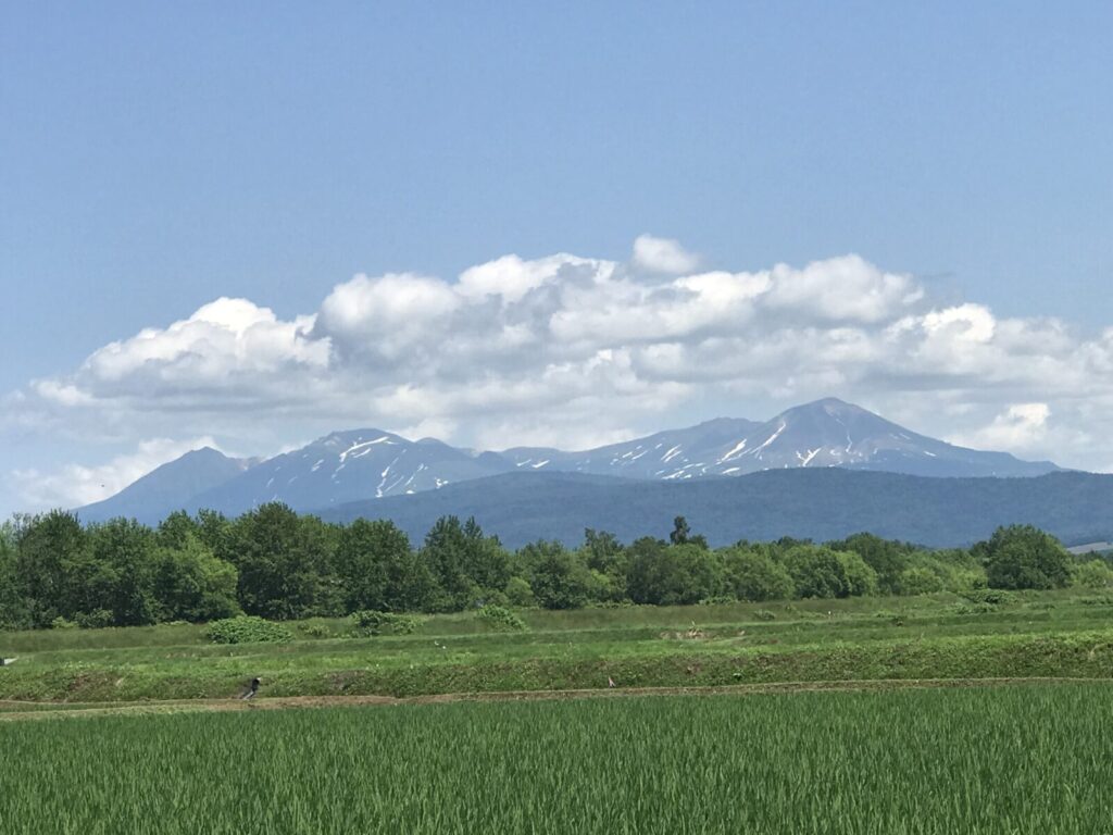 しかぐら温泉近くから見える緑の草原と利尻山の風景