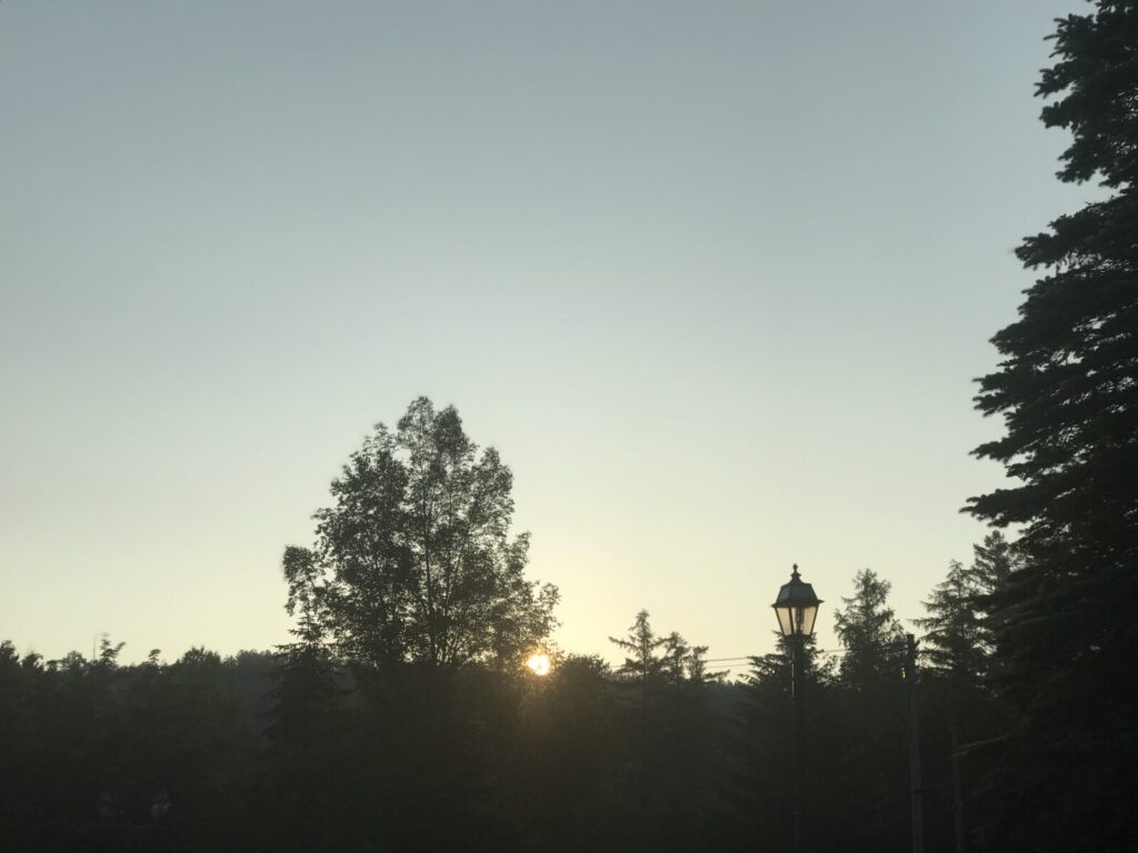木立の向こうから昇る朝日とクラシックな街灯が並ぶ道の駅の風景