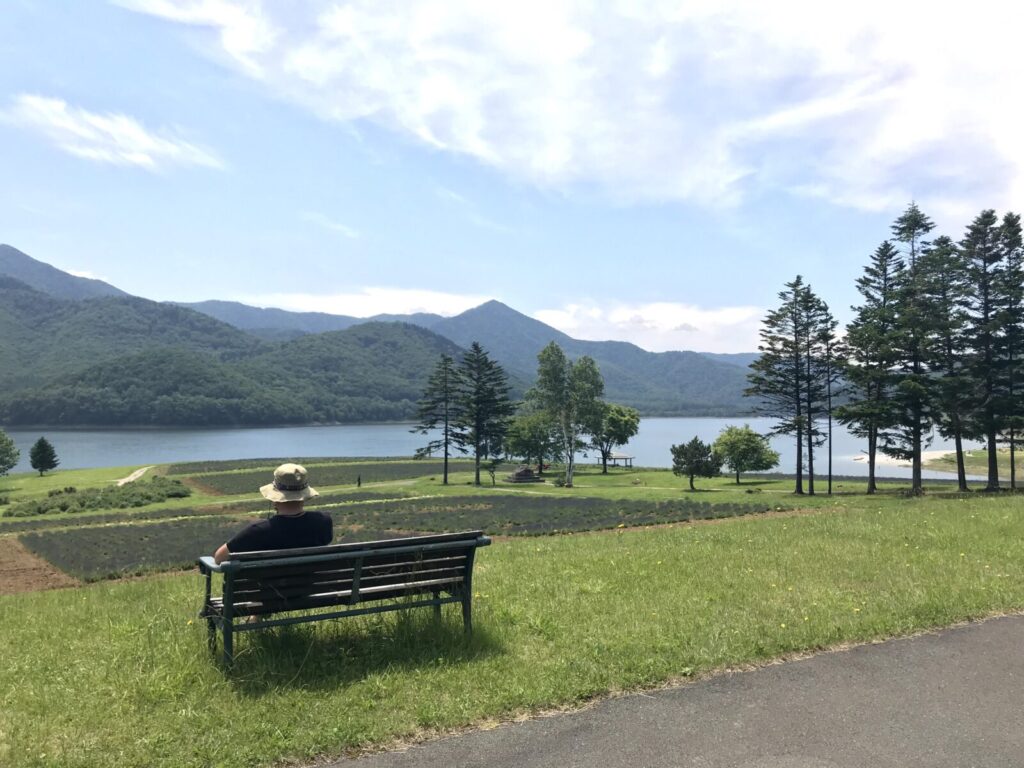 緑の芝生と木陰、静かなかなやま湖畔のベンチ