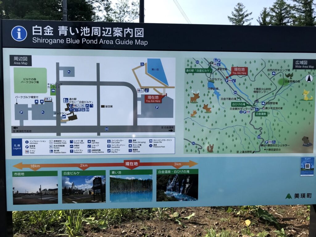青い池と白金温泉、道の駅などを含む観光案内マップ。周辺の見どころとルートが詳細に描かれている