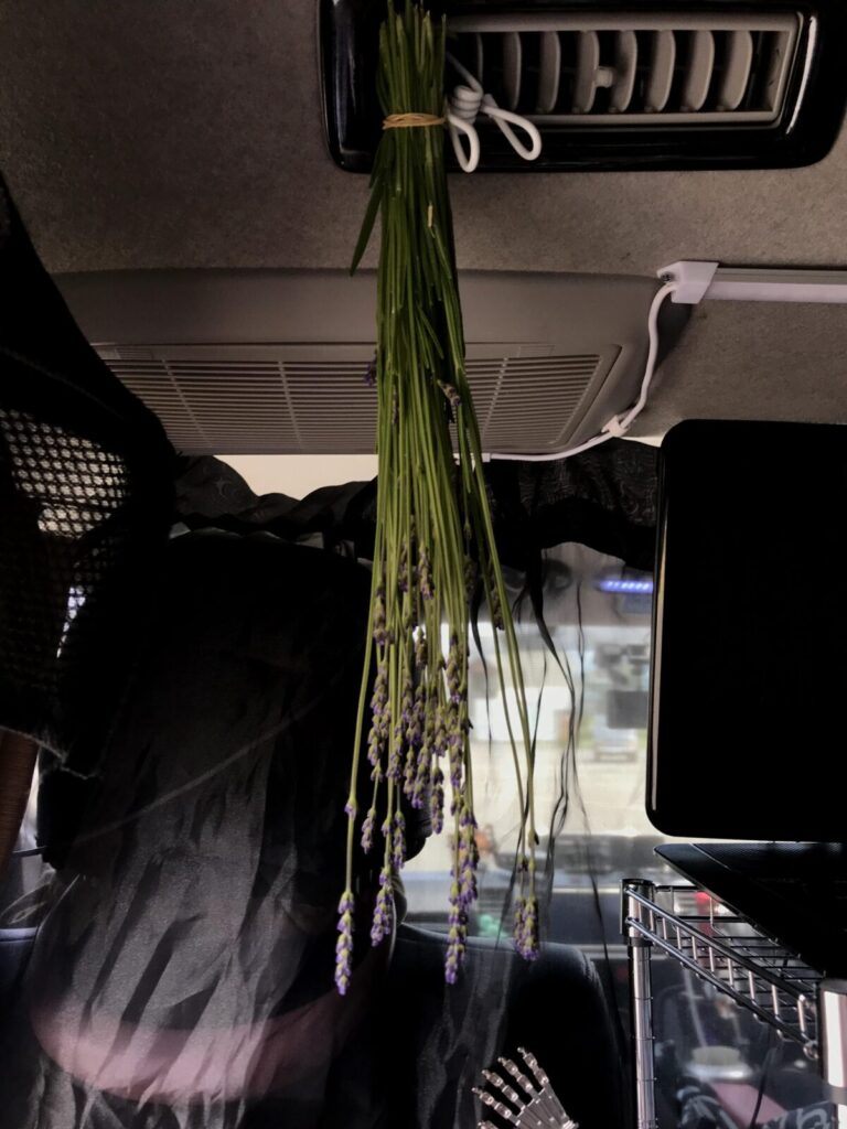 車内のエアコン吹き出し口に吊るされたラベンダーの花束(車中泊中)