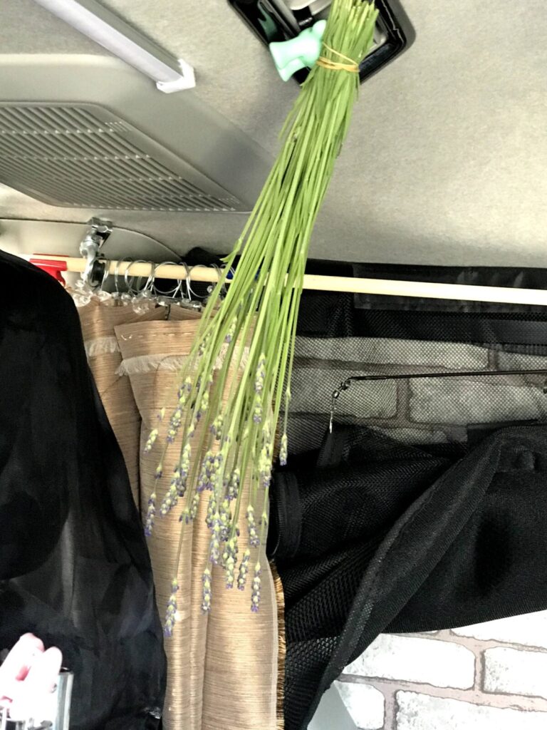 車内で吊るされたもう一束のラベンダー。乾燥させて香りを楽しむ