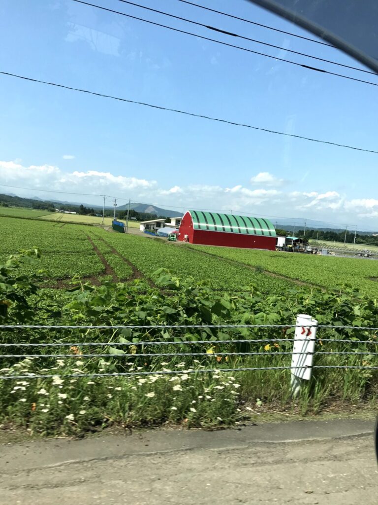 富良野の広大な畑と赤い屋根の農場。青空に映えるのどかな風景。