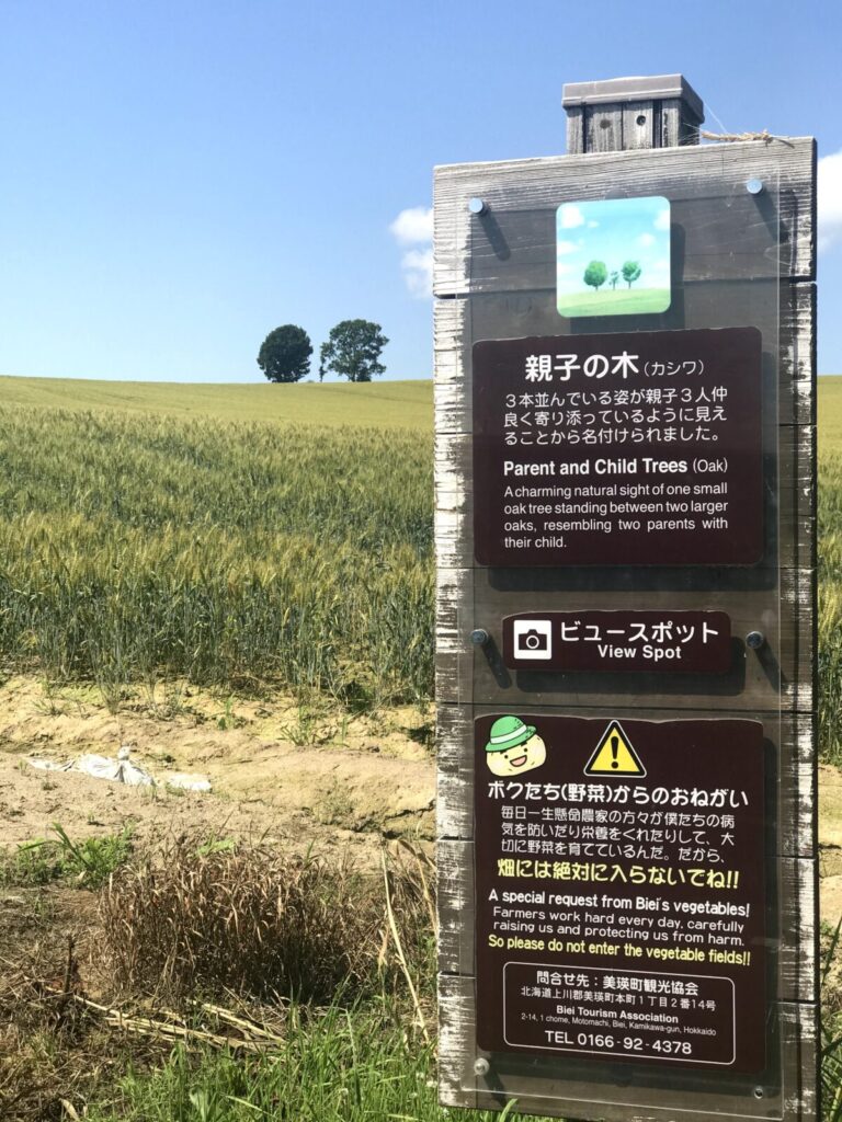 「親子の木」の名前の由来を説明する看板(富良野)