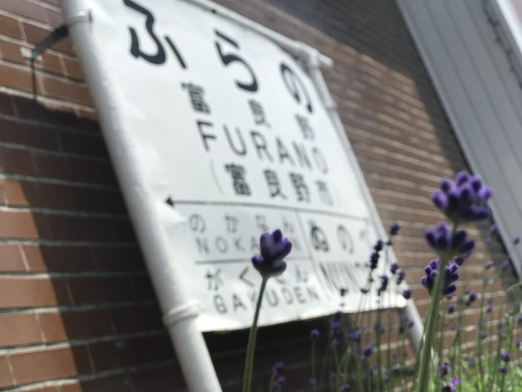 ラベンダー越しに見た富良野駅の駅名標