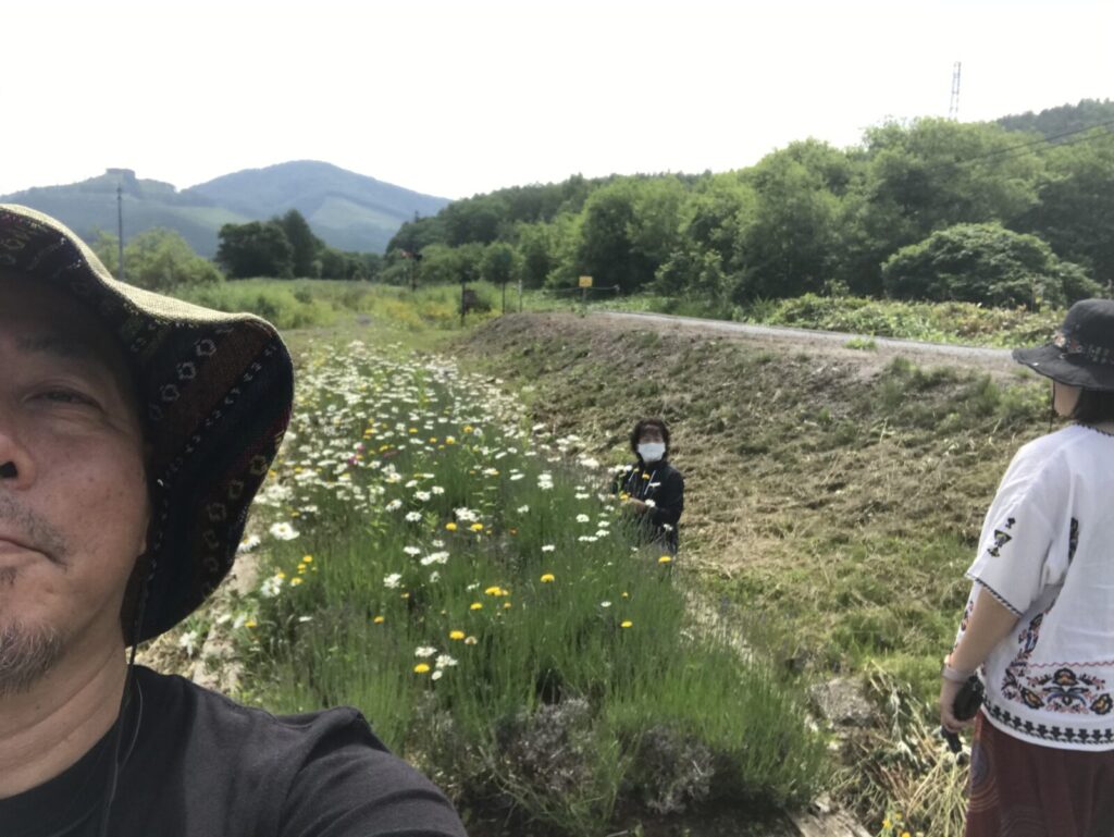 幾寅駅付近の初夏に咲く花畑と奥に見える山の風景