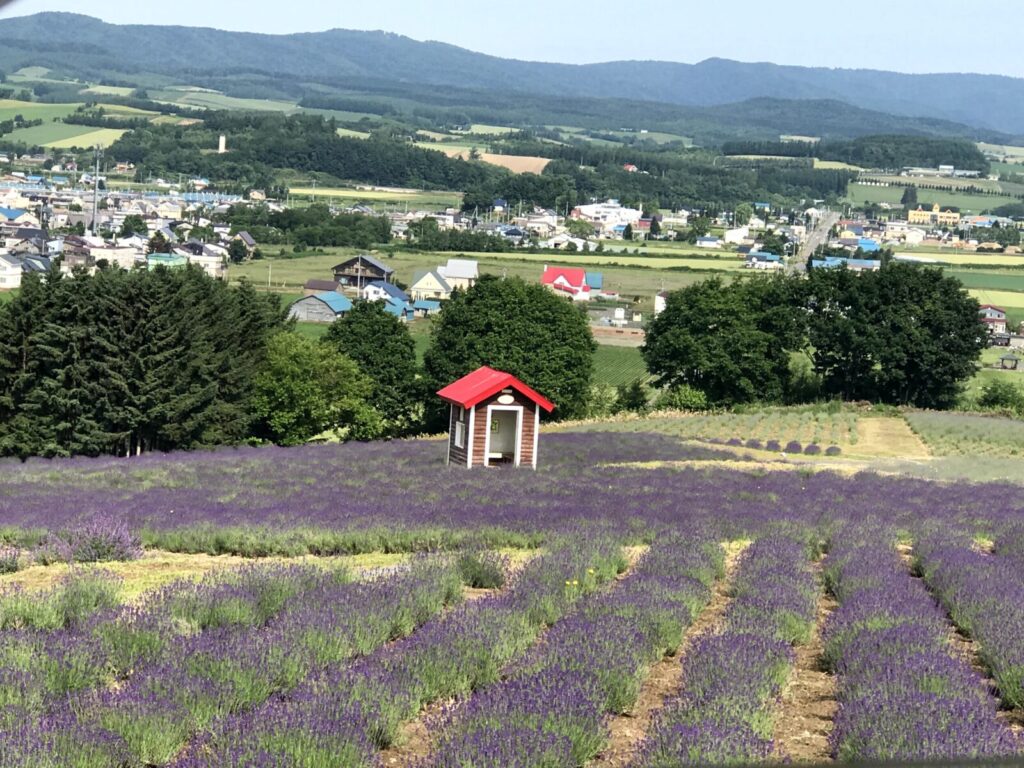 赤い屋根の小さな小屋があるラベンダー畑から町を見下ろす風景