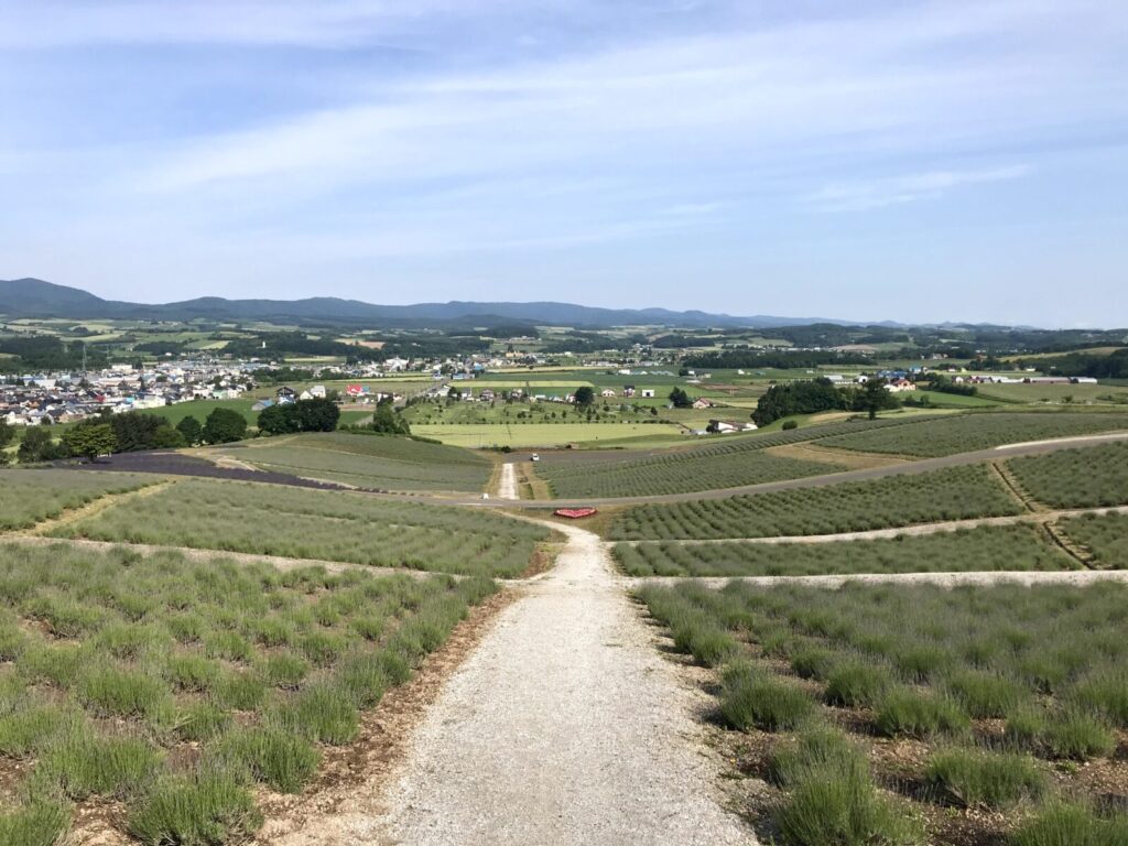丘の上から見渡す上富良野のラベンダー畑と住宅地の景色。遠くに山並みも見える。