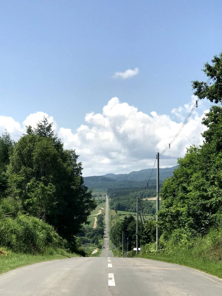 うねるように続く坂道と緑の丘が広がるジェットコースターの路(上富良野)