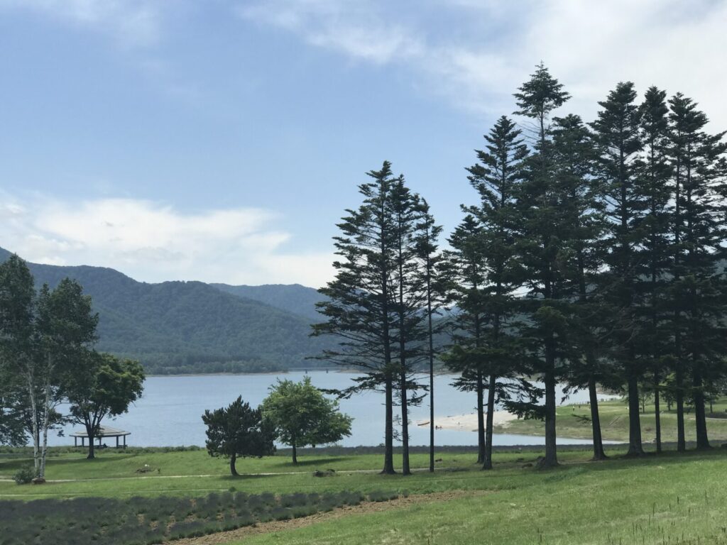 かなやま湖畔の松林とビーチの風景