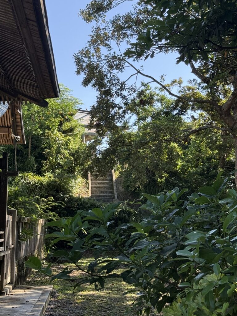 神社裏手に続く静かな石段と自然の風景