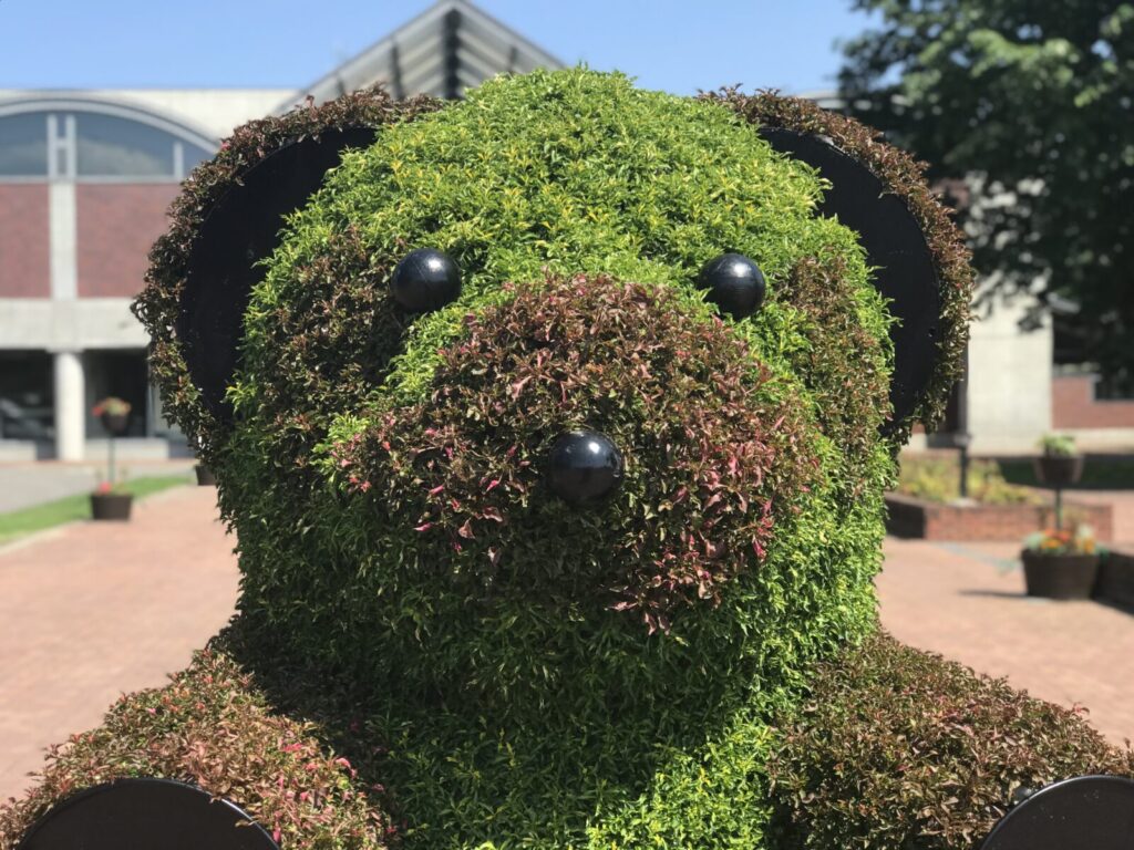 道の駅しかおいのクマ型植木オブジェの上半身アップ。正面からの表情。