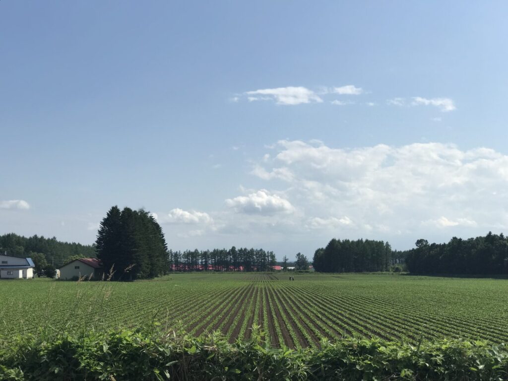 鹿追町の畑で農作業をする人々の様子。美しい緑と遠くの赤い屋根が見える。