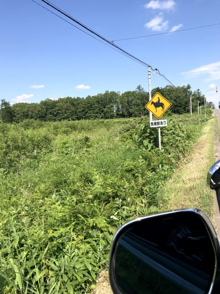 馬横断注意の標識と道路沿いの景色(鹿追町)