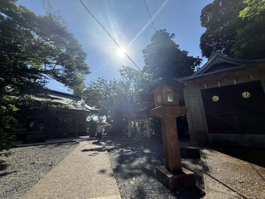 まばゆい朝日が差し込む遠見岬神社の境内