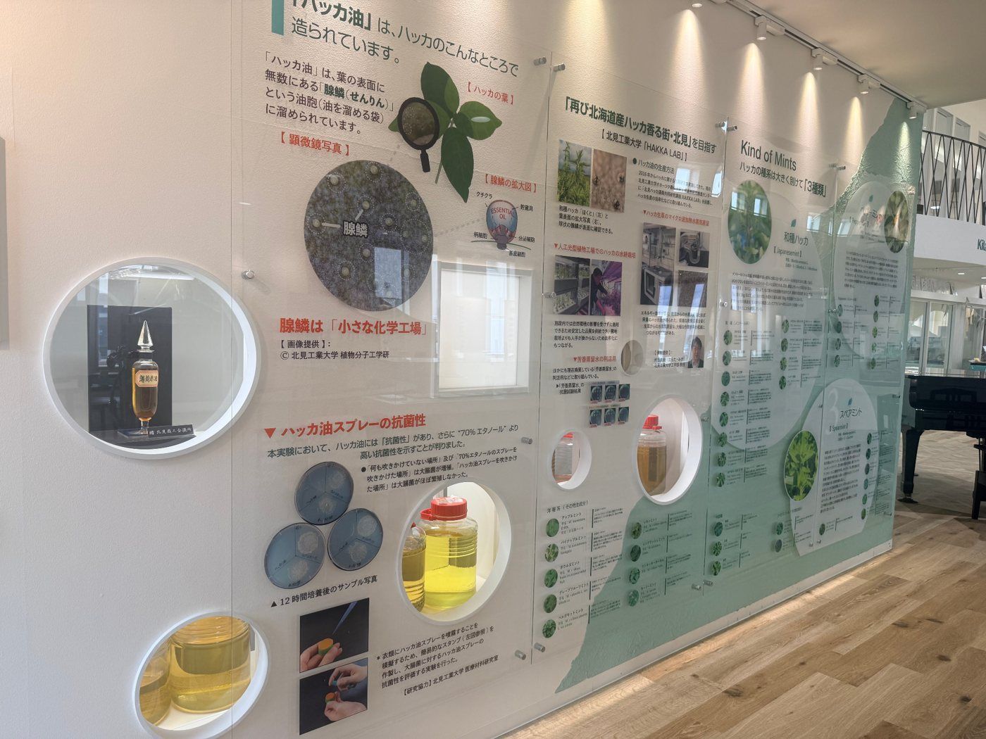 ハッカについての展示
