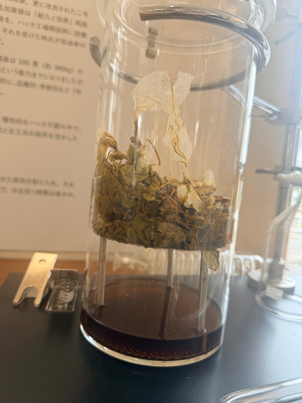装置の中の葉を近くで