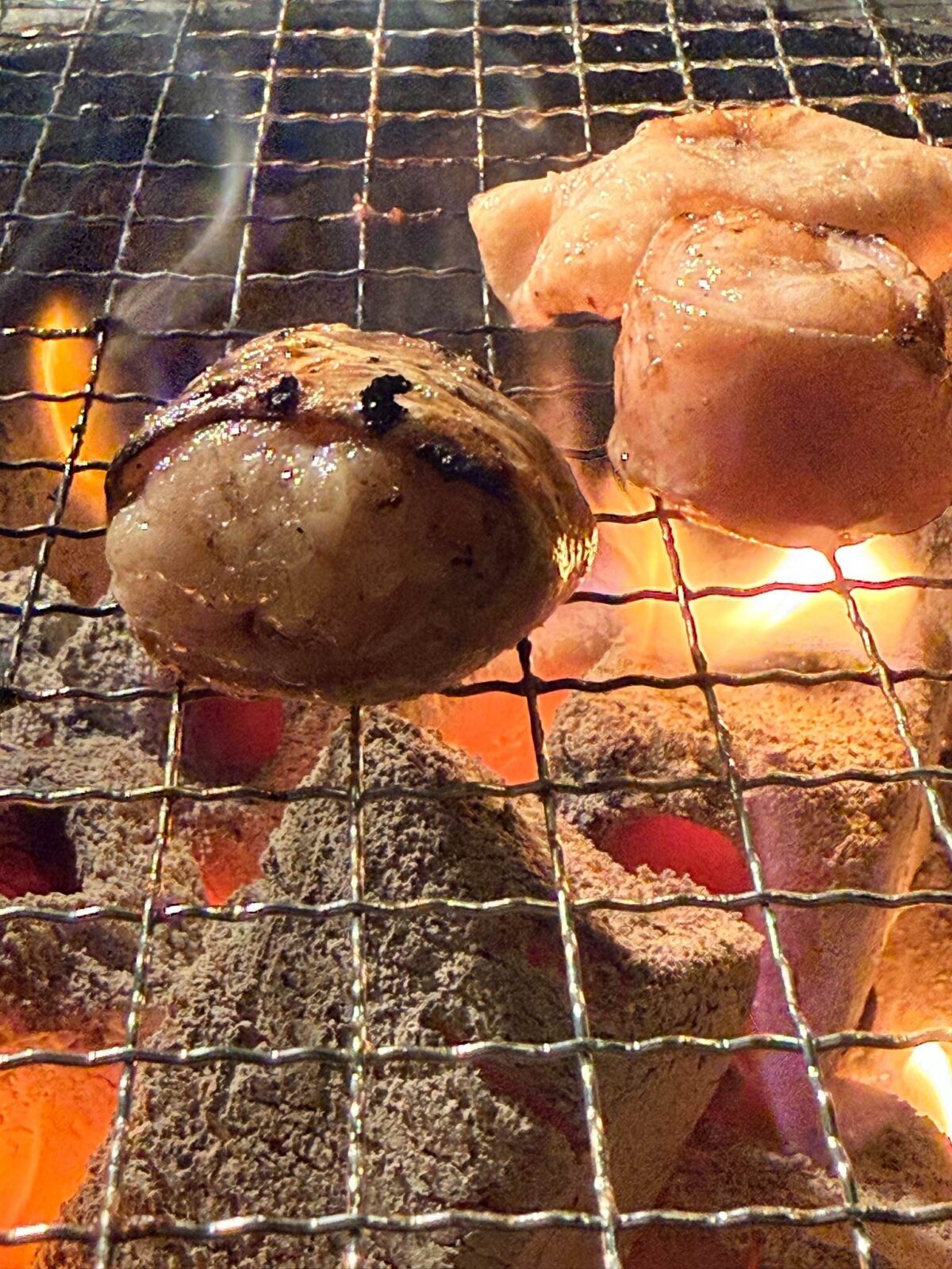炭火の網の上で焼いている丸みのあるホルモンと肉